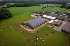 Ferienhof Ratjen Bild 17