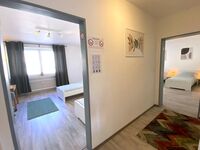 HomeRent in Essen und Umgebung Bild 9