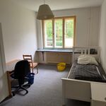 Wohnung Berlin Pankow Bild 2