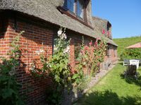 Eider-daus Bild 20