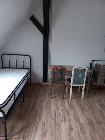 Wohnung Seenland Bild 4