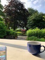 Wohnung in Hauptstraße, Neuenkirchen Bild 12