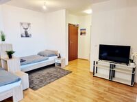 HomeRent in Mörfelden-Walldorf, Hattersheim & Umgebung Bild 11