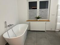 Moderne Zimmervermietung und Apartments rund um Hamburg Bild 5