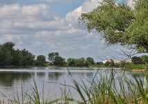 Gutshof "Schloss Kehnert" - Pension und Ferienwohnungen Bild 2