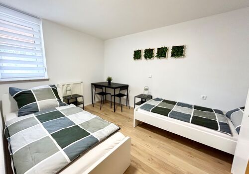 TOP Business Apartment / Monteurwohnung Picture 3