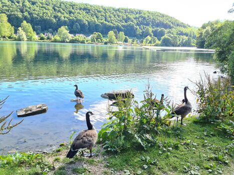Seeblick - Hotel - Kegelbahn - Café Bild 5