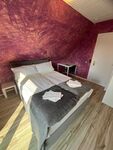 4-Zimmer-Haus nahe den Holstenhallen mit Garten Bild 9