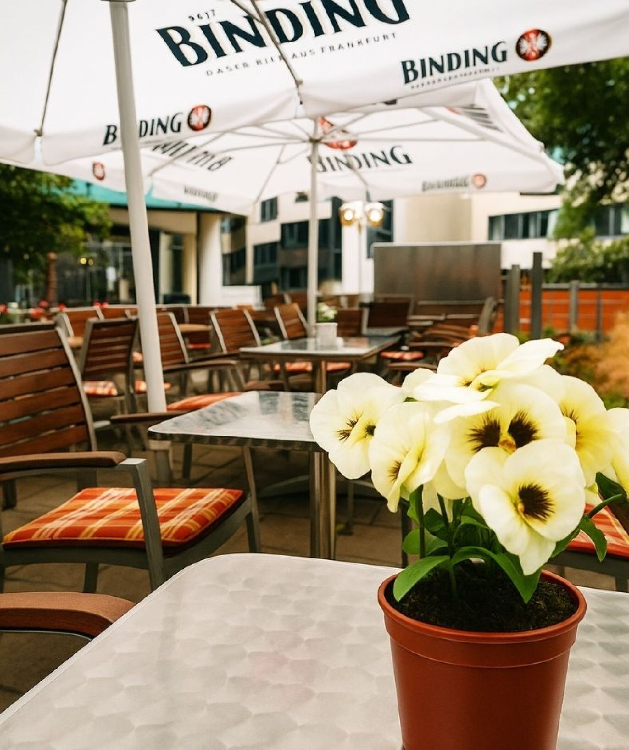 Terrasse