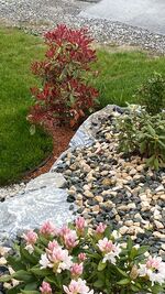 Gästezimmer Avolli Bild 8