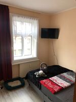 Pension Karsten Mertens Bild 5