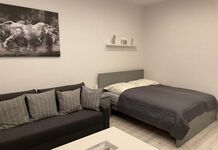 Wohnung 2: 1 Doppelbett (Schlaf-/Wohnzimmer) 