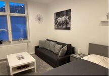 Wohnung 2: 1 Doppelbett (Schlaf-/Wohnzimmer) 