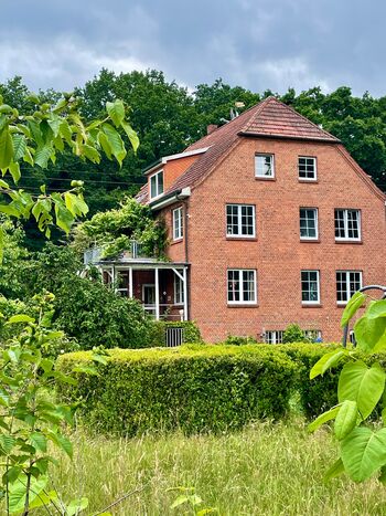 Blick vom Garten auf das Haus