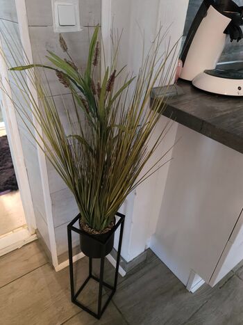 Ferienhaus Leahs Muschelsand Kronprinzenkoog Picture 5
