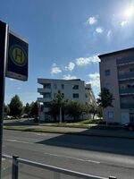 Green Nature Bild 17