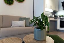 Green Nature Bild 25