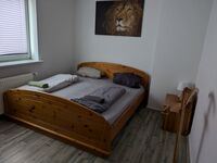 NestOaseWHV Saale 5 - Zentrale Wohnungen und Zimmer Bild 1