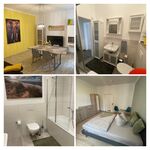 Monteurwohnungen neu ab 79m2 bis 6 Personen ab 16 Euro p. P. Bild 8