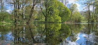 Wohnung mit Terrasse – Kurzzeitvermietung in Sanitz bei Rostock Bild 10
