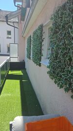 Wohnung Salkan Bild 4