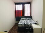 Garten Geastahus Bild 6