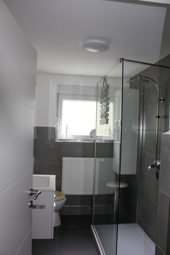 Jungpfalzstieg Bild 4