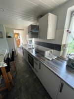 Wille Bild 9