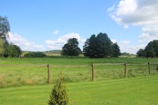 FeWo Potsdam - Berlin Bild 16