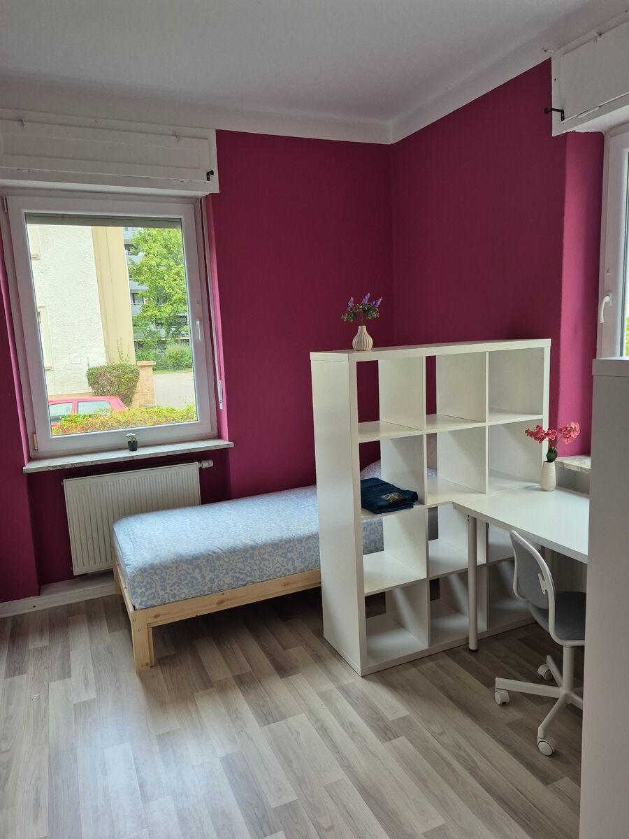 Bild 5