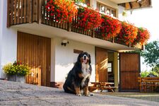 Schweizermichelhof Bild 9