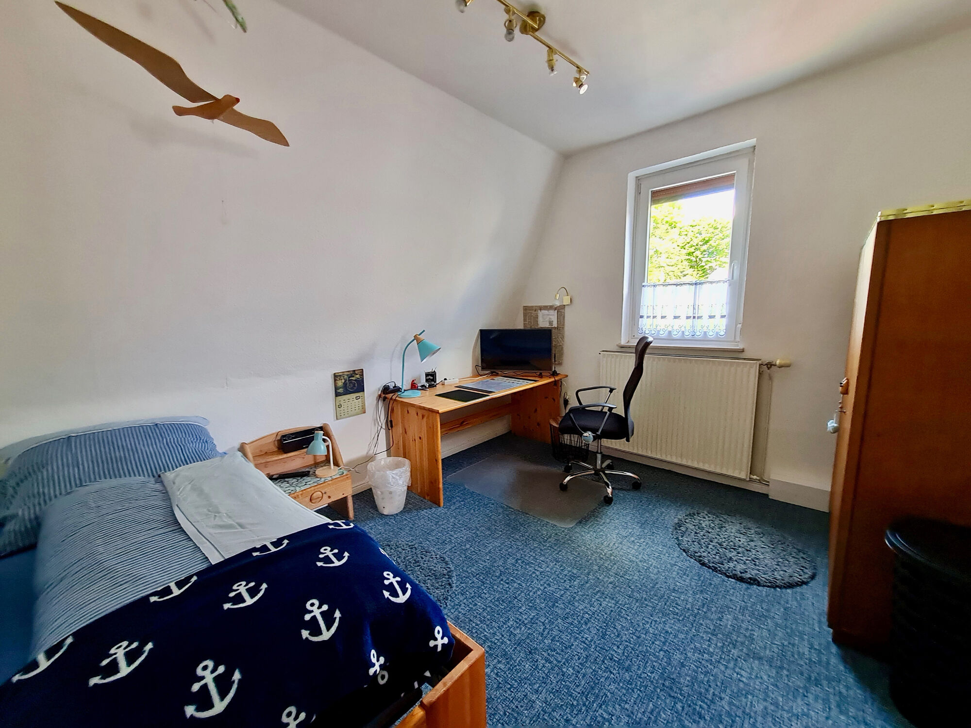 Bild 5
