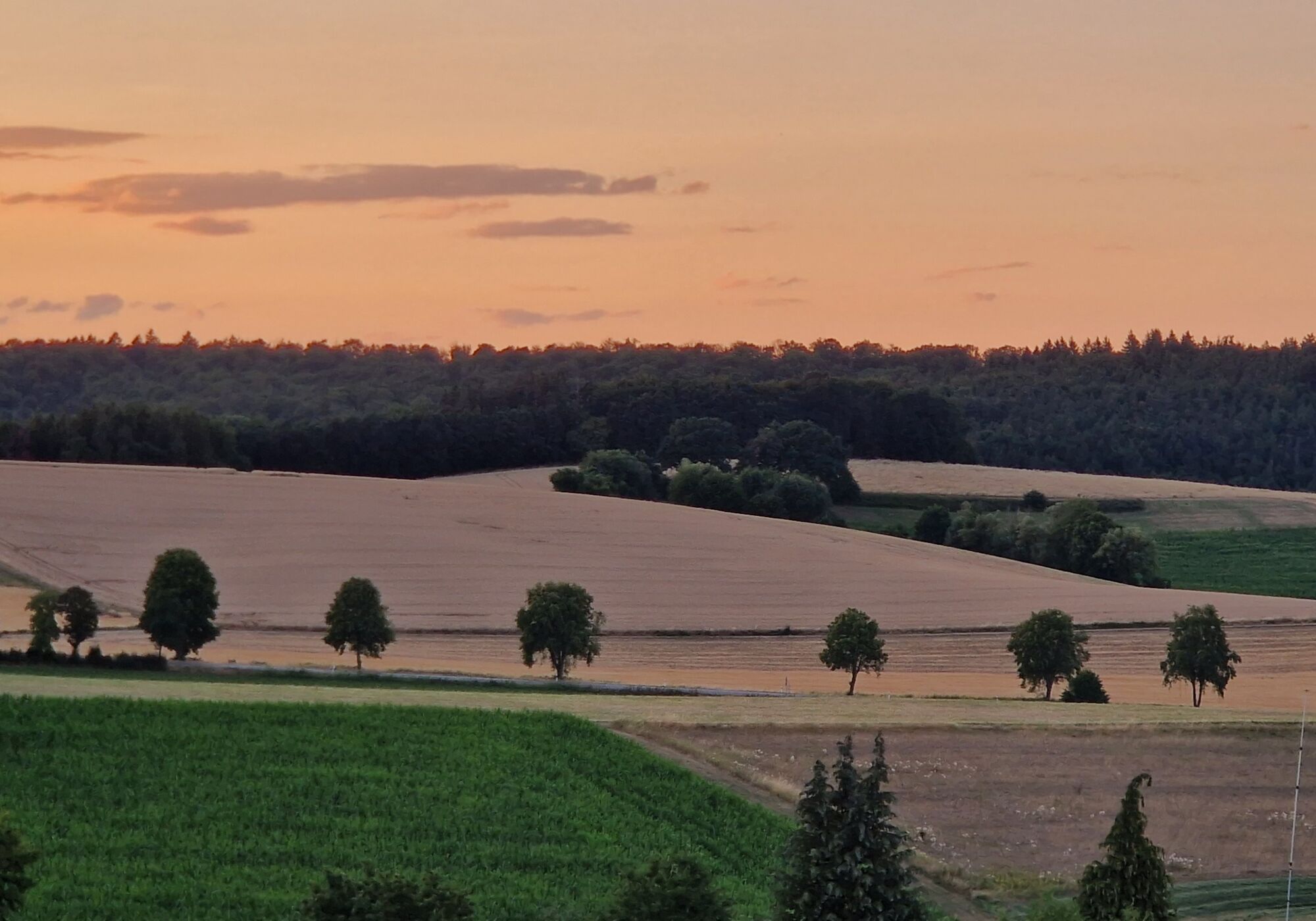 Aussicht von Terasse