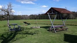 Ferienhof Amann - Friedrichshafen Bild 7