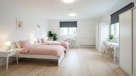 FL27 / TOMASZ-LIVING in SCHLESWIG - WLAN inklusive Bild 4