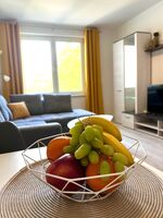 Wolfen-Apartments: Studio-Apartment 2-Zimmer Bild 9