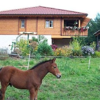 Ferienwohnung Altwiese Zdjęcie 2