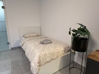 Luxus - Parkplätze - zentral - bis 50 Personen Bild 5