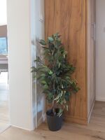 Franzi am Bahnhof: Ansprechende Wohnung für 4-5 Gäste Bild 28