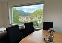 HomeRent in Lichtenstein und Umgebung Bild 2