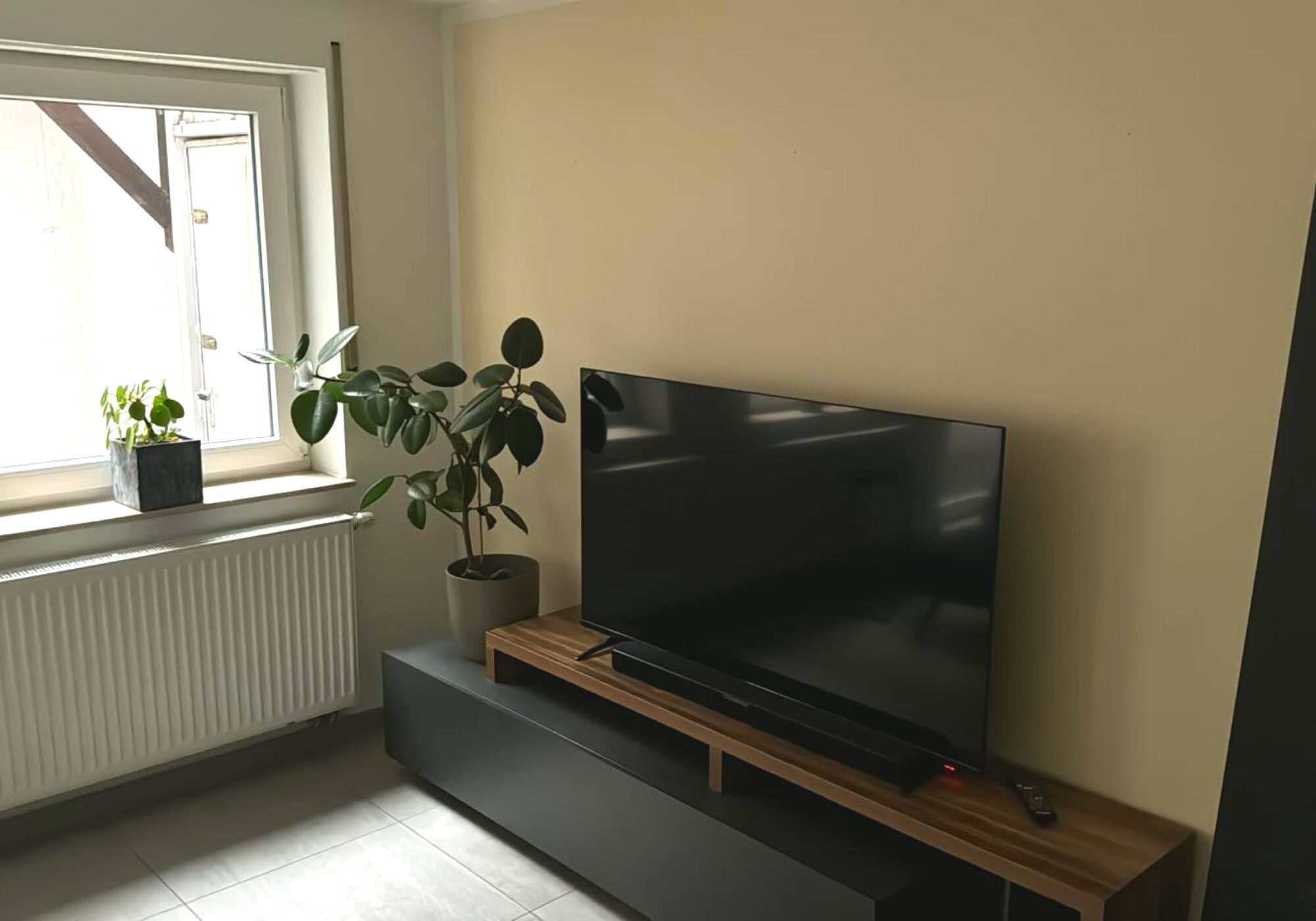 Fernseher