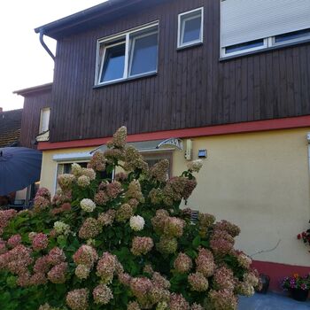 Ferienwohnungen / Zimmer bei Plau am See Bild 3