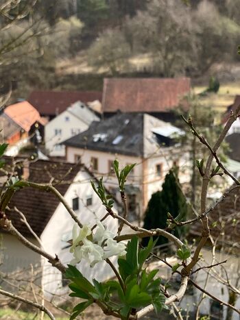 Gästezimmer Yoga-DAYS Bild 5