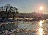 Naturoase mitten an der Saale Bild 19