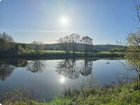 Naturoase mitten an der Saale Bild 14
