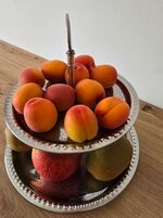 Naturoase mitten an der Saale Bild 18