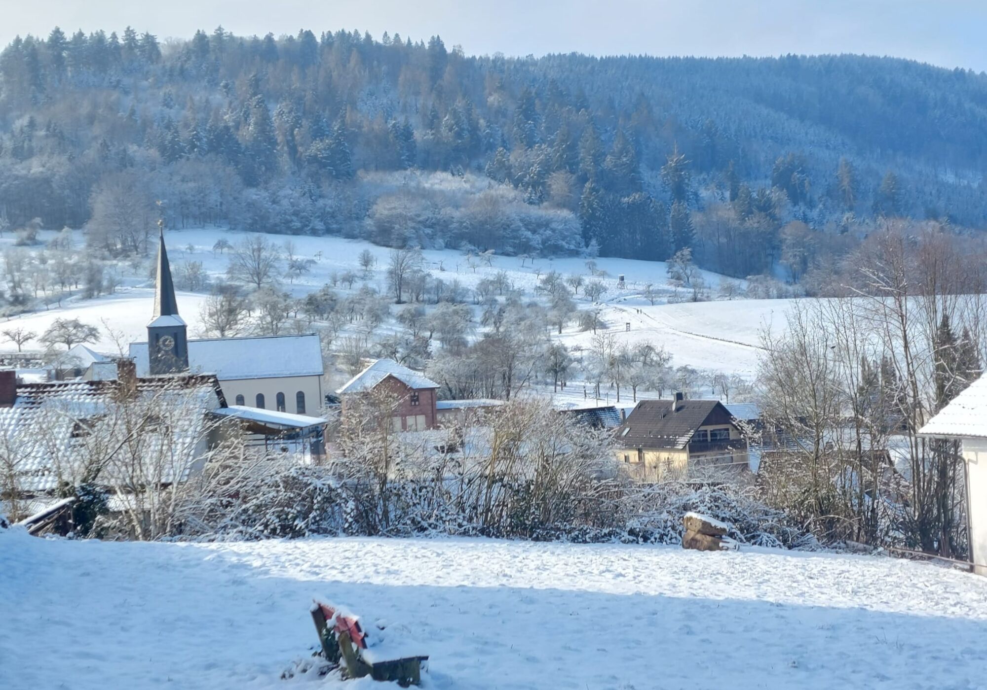 Freudenberg / Boxtal