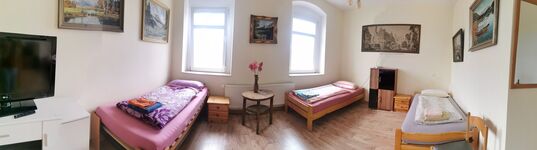 Schmetterling Zimmer Bild 3