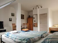 Schmetterling Zimmer Bild 1