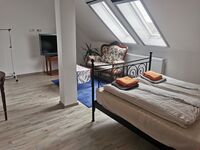 Schmetterling Zimmer Bild 2